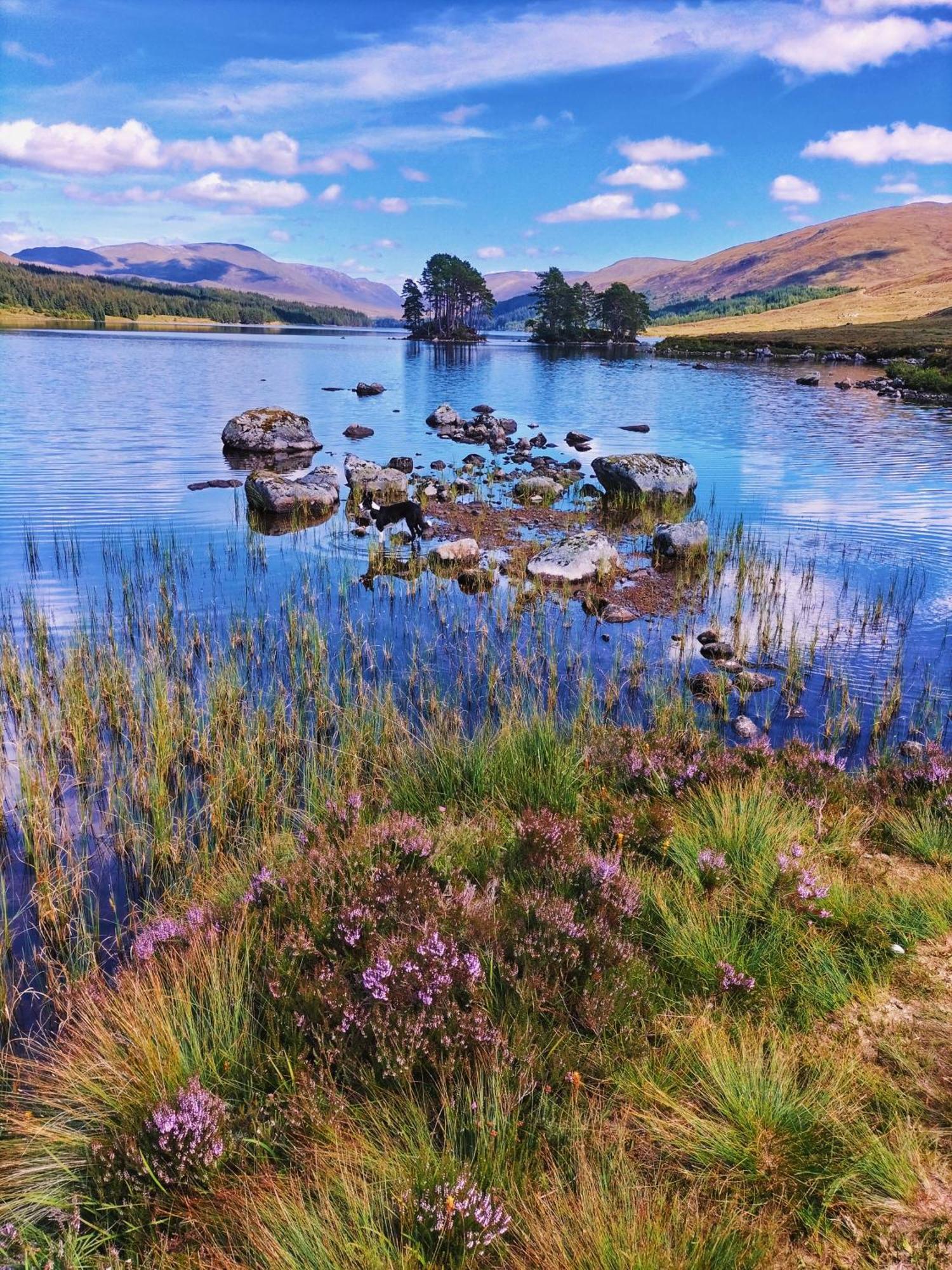 Glenfinnan Retreats Eksteriør billede